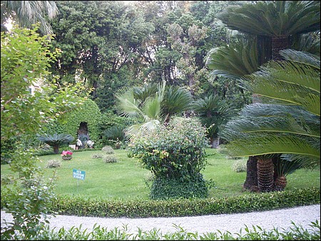 giardino (15).JPG