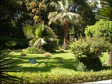 giardino (3).JPG